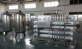 卫生级食品厂纯净水标准 10t/h双级反渗透设备的全场景解析