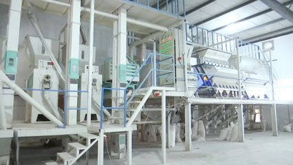 “碰网触电”拓销路，黄陂大米借力电商升级设备销售